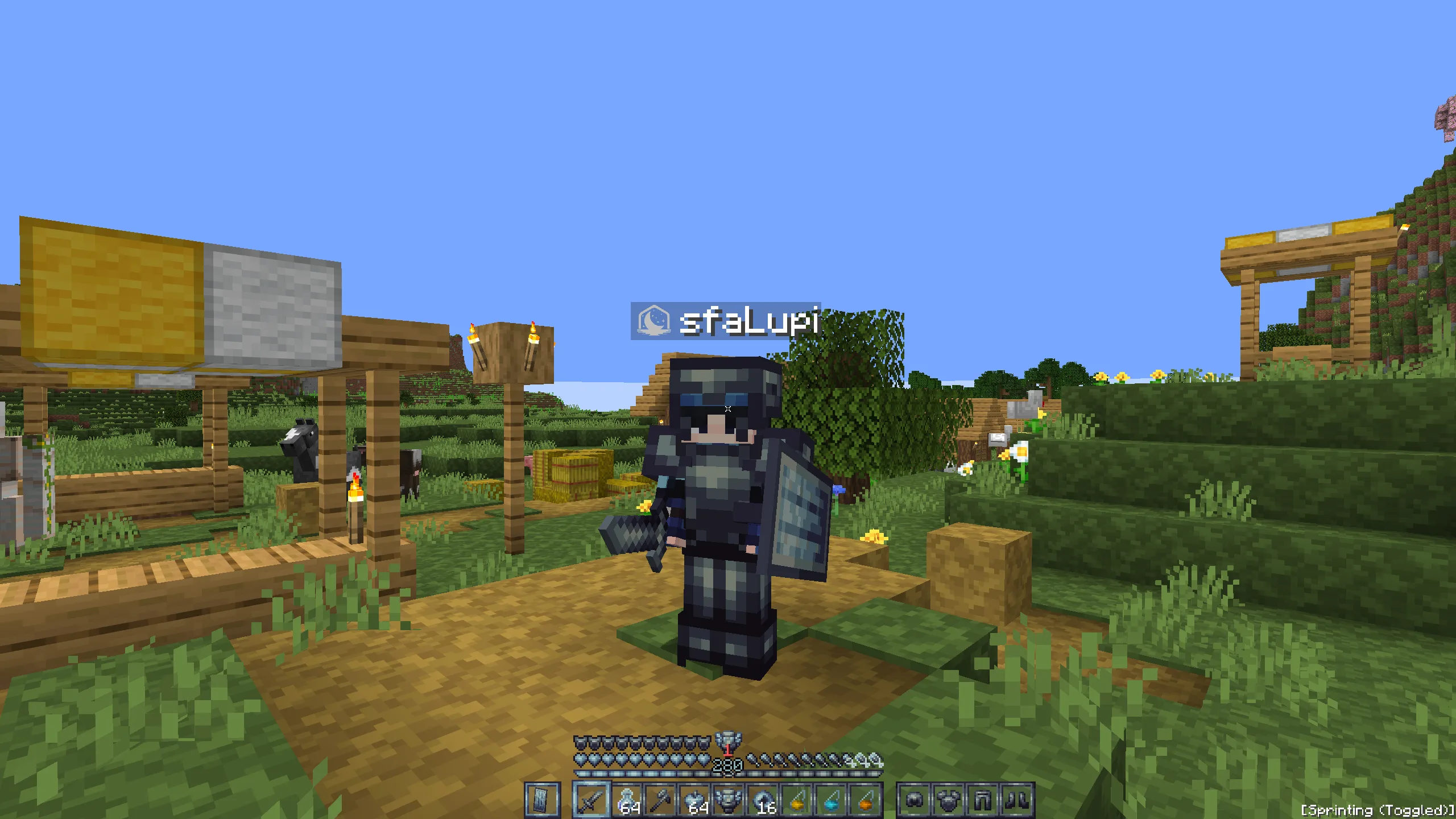 Sky 16x