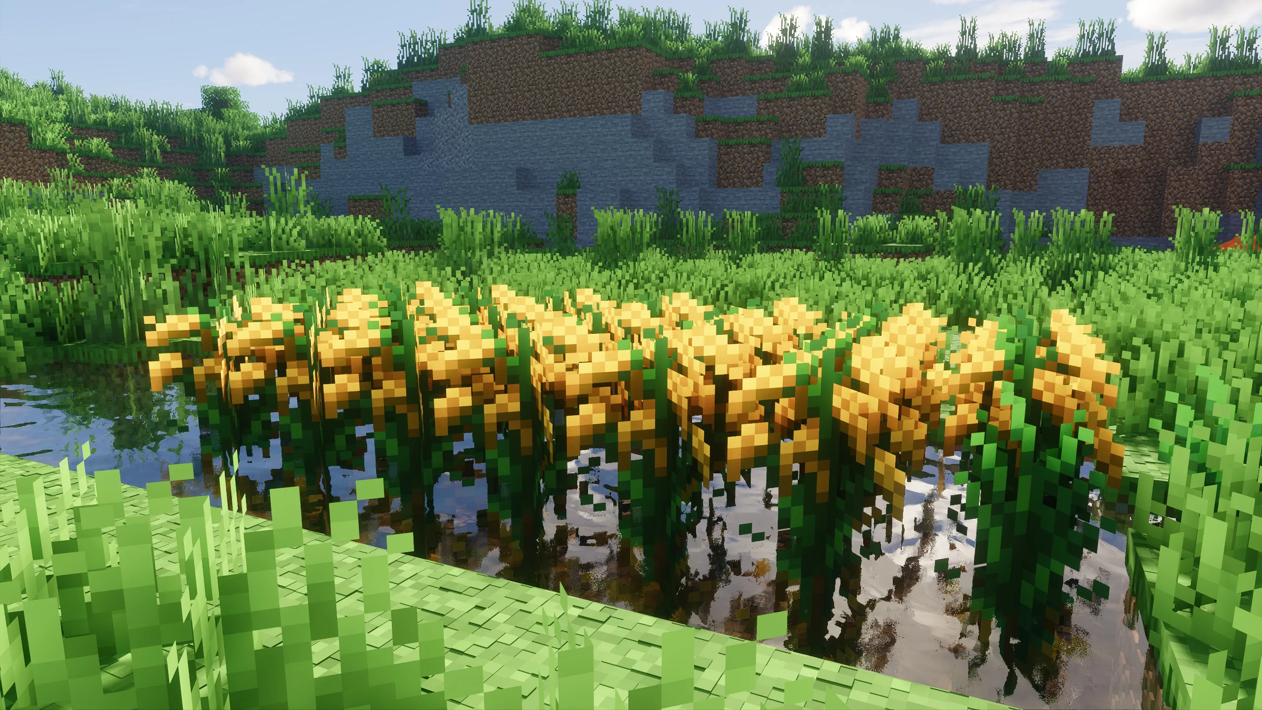 Изображение 3 ресурспака SPBR-Farmer's Delight