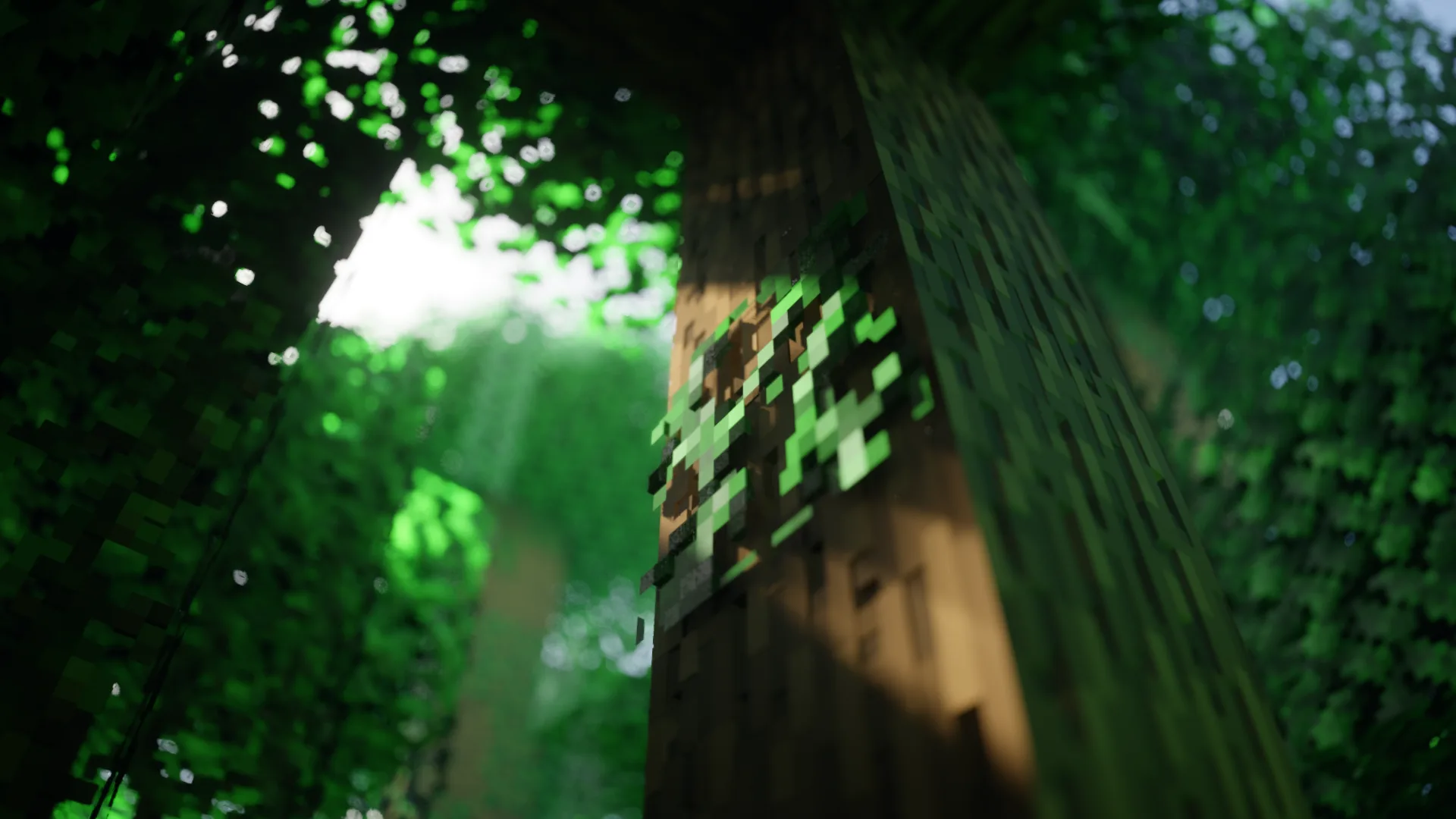 Изображение 2 ресурспака SPBR