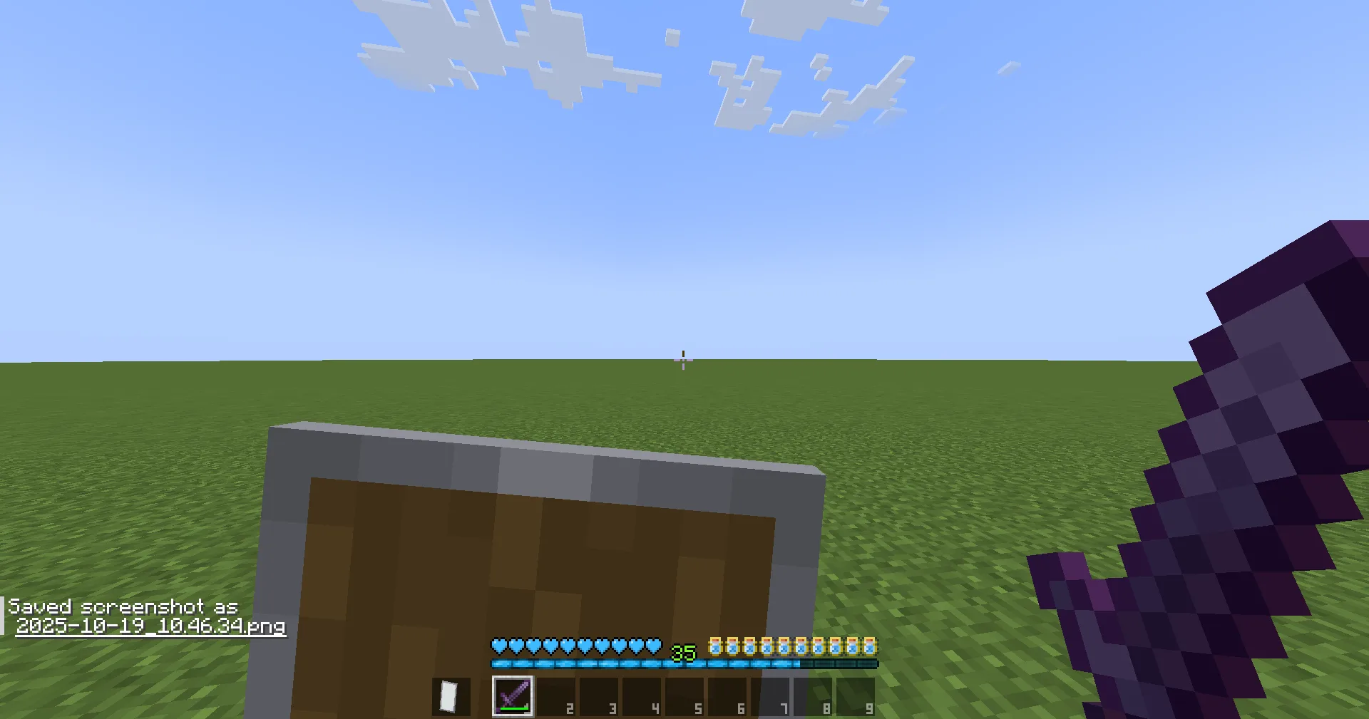 Изображение 1 ресурспака Speacs low shield