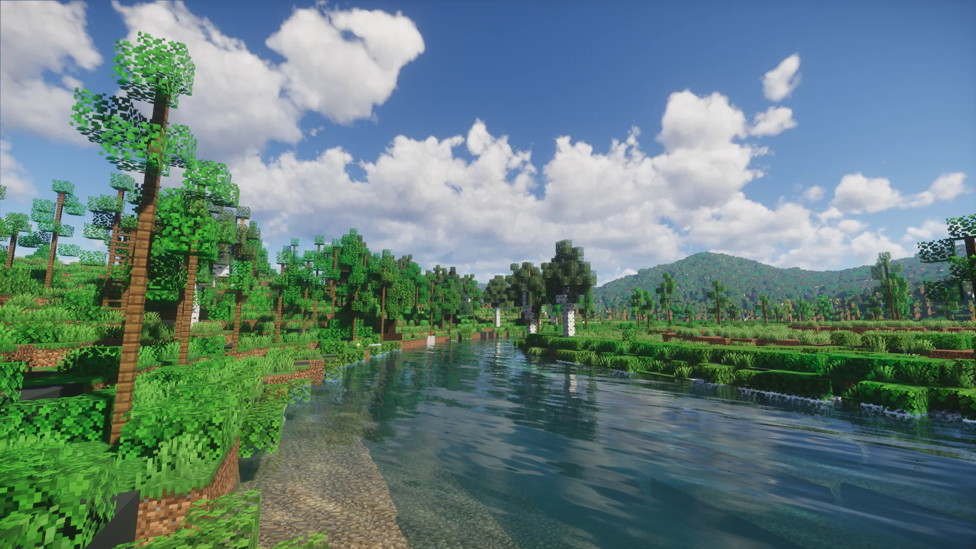 Spring Shaders (Chun)