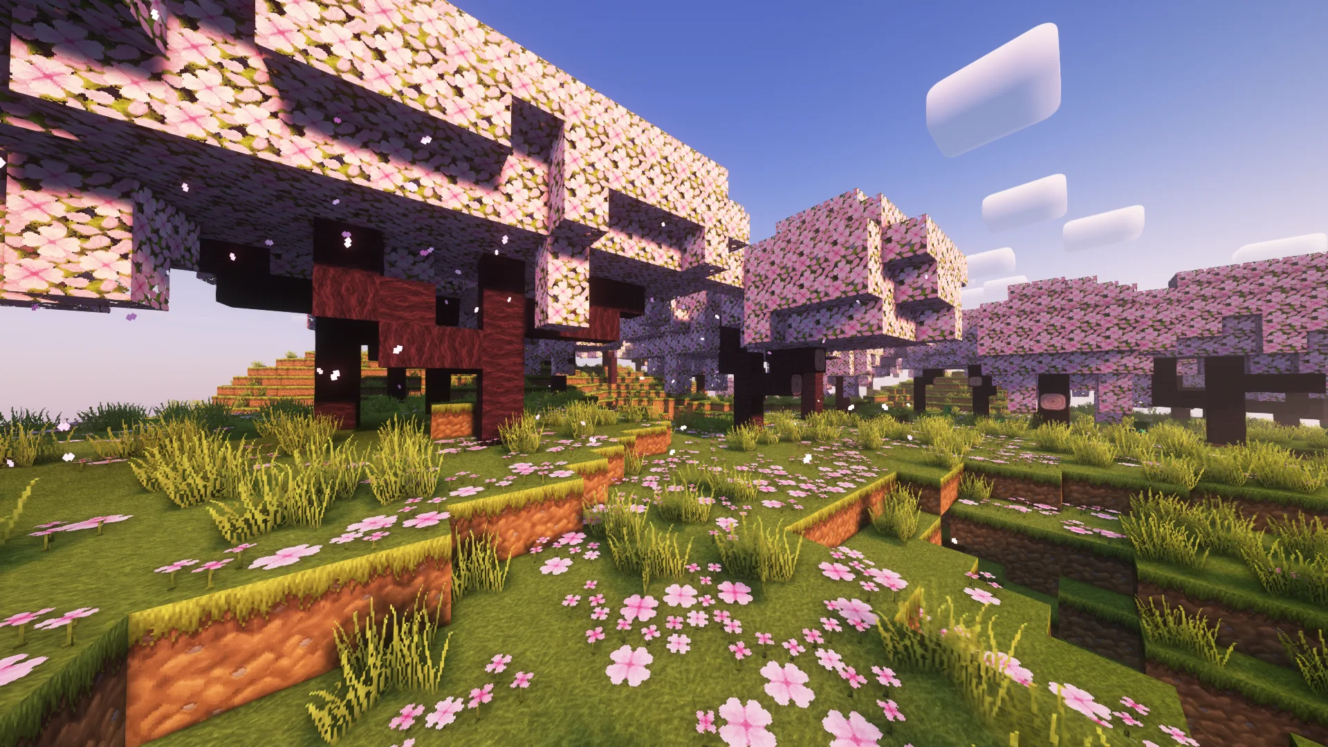 5teven's Traditional