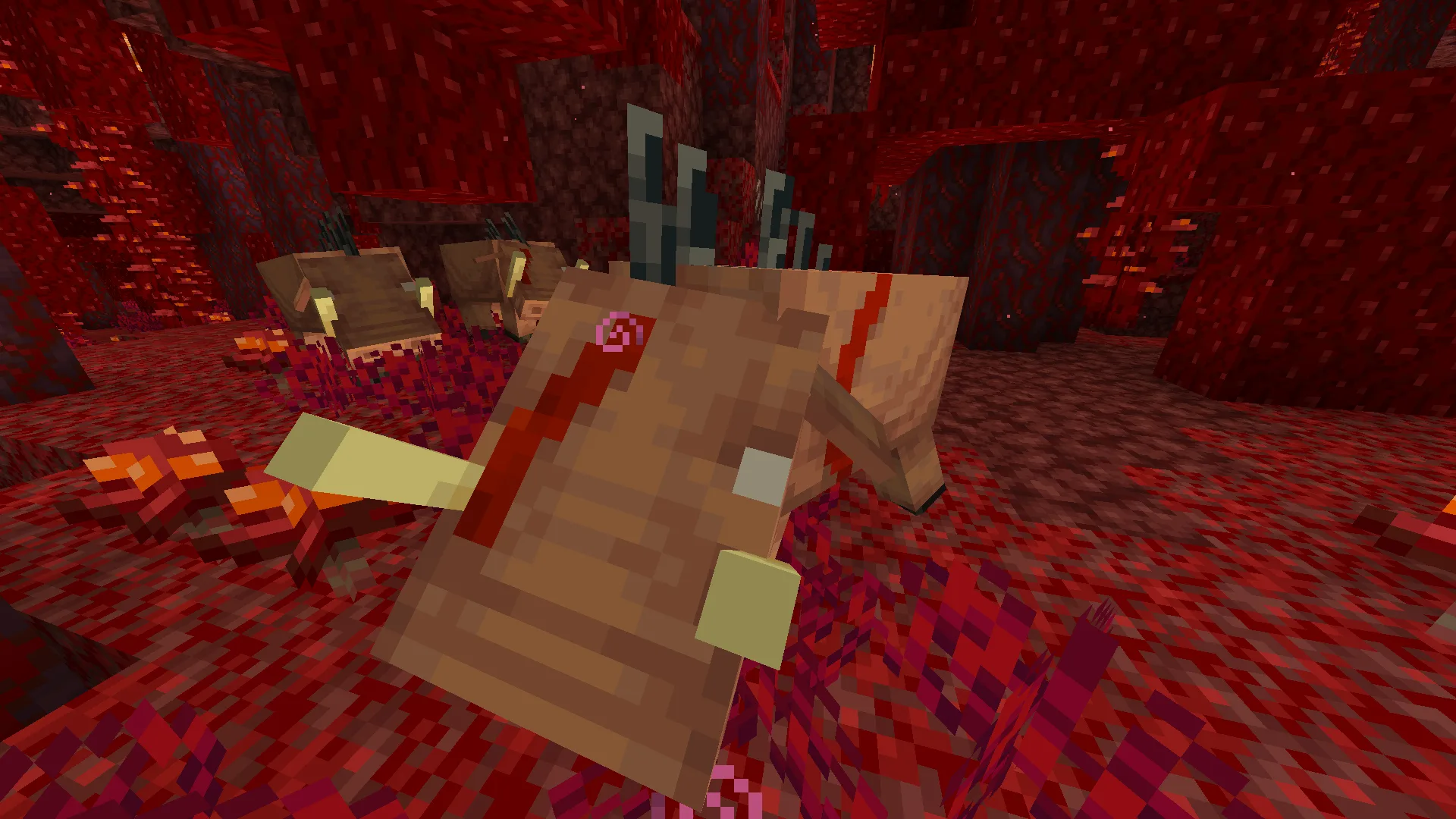 Изображение 1 ресурспака Torturable Healthbars, but with FA