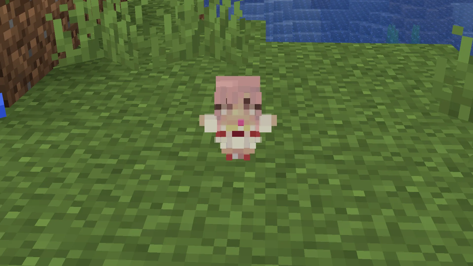 Изображение 1 ресурспака Customizable Totem