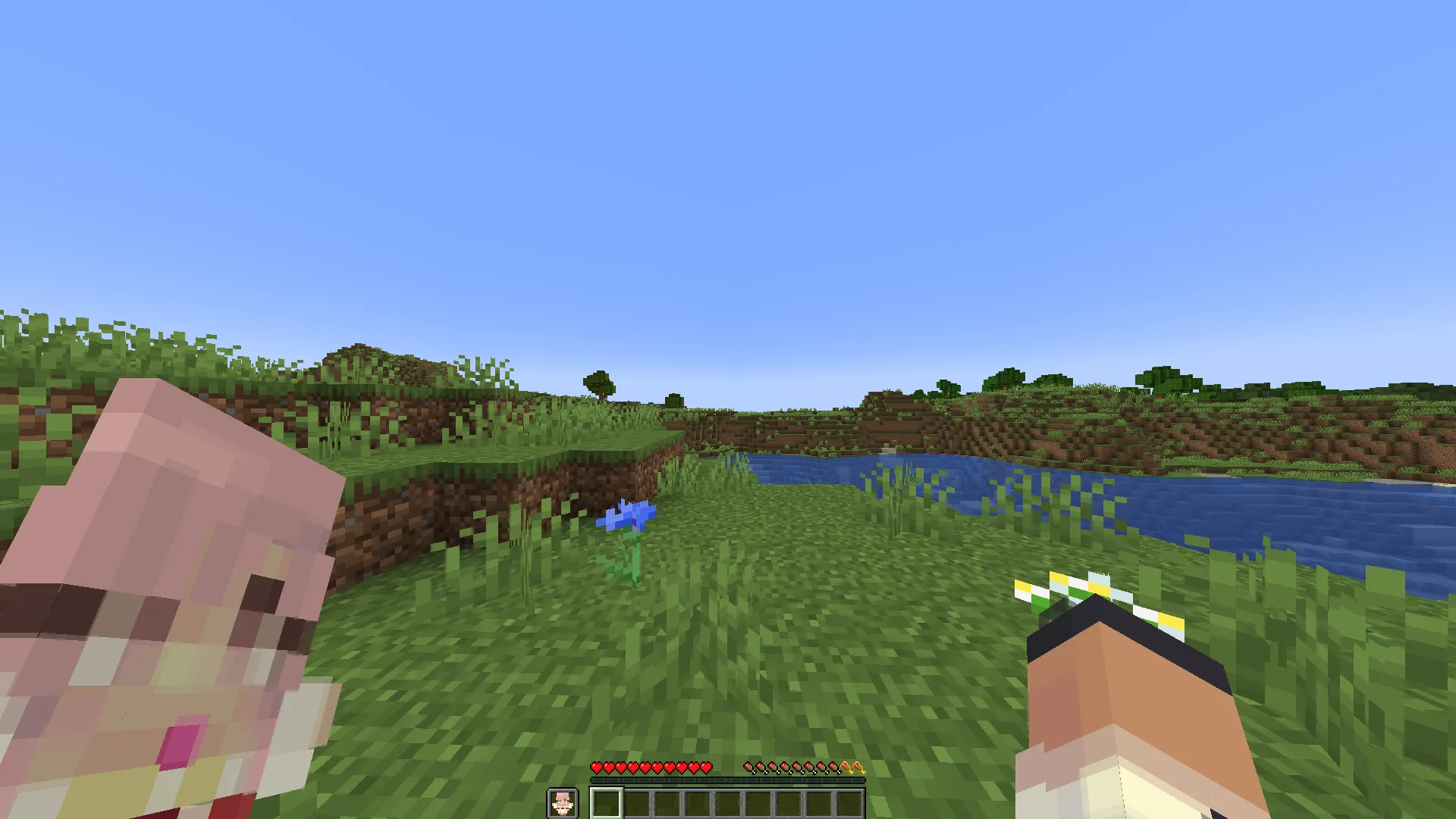 Изображение 3 ресурспака Customizable Totem