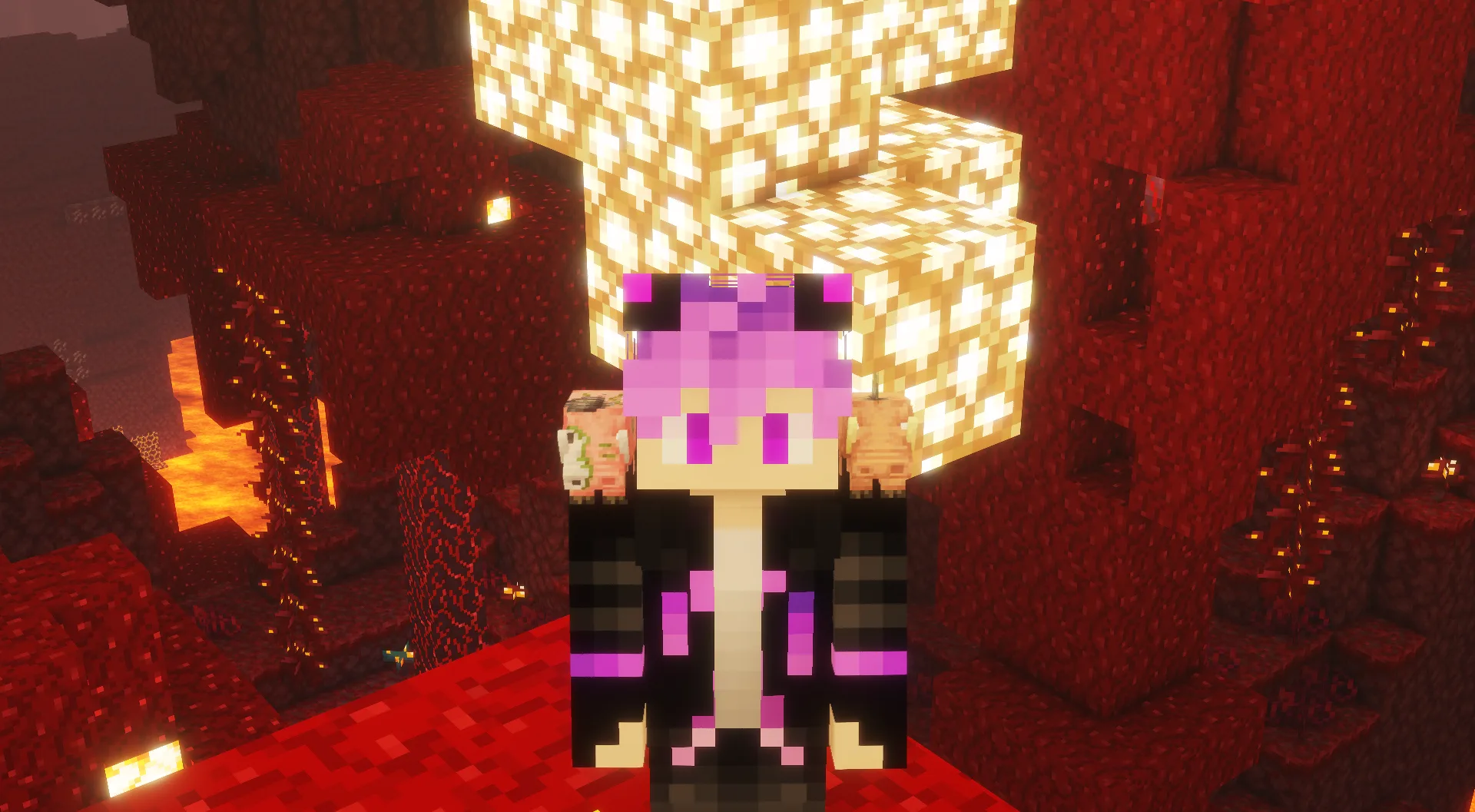 Изображение 5 ресурспака Totem Pets