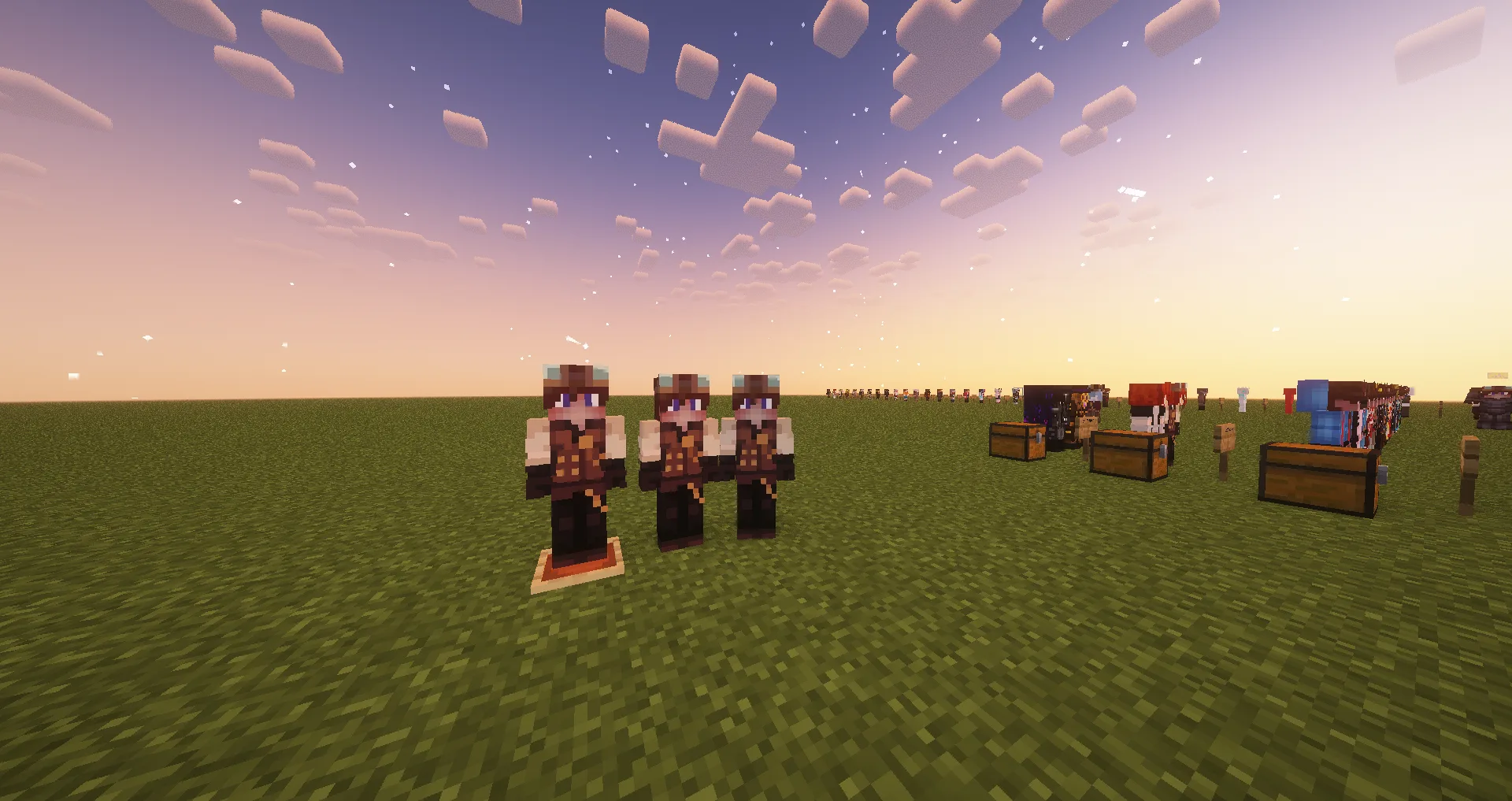 Изображение 6 ресурспака Totem Player Model