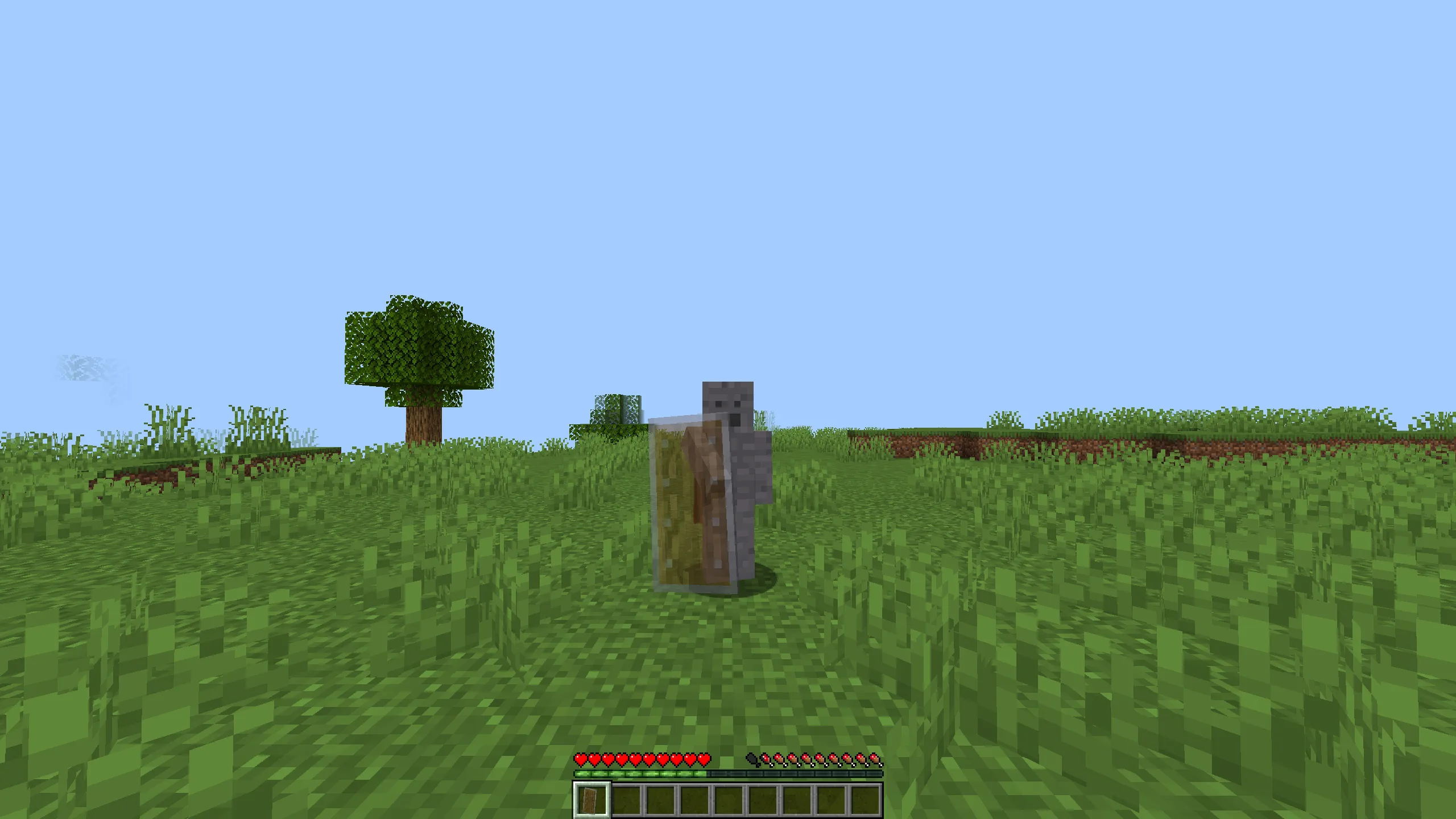 Изображение 6 ресурспака transparent shield