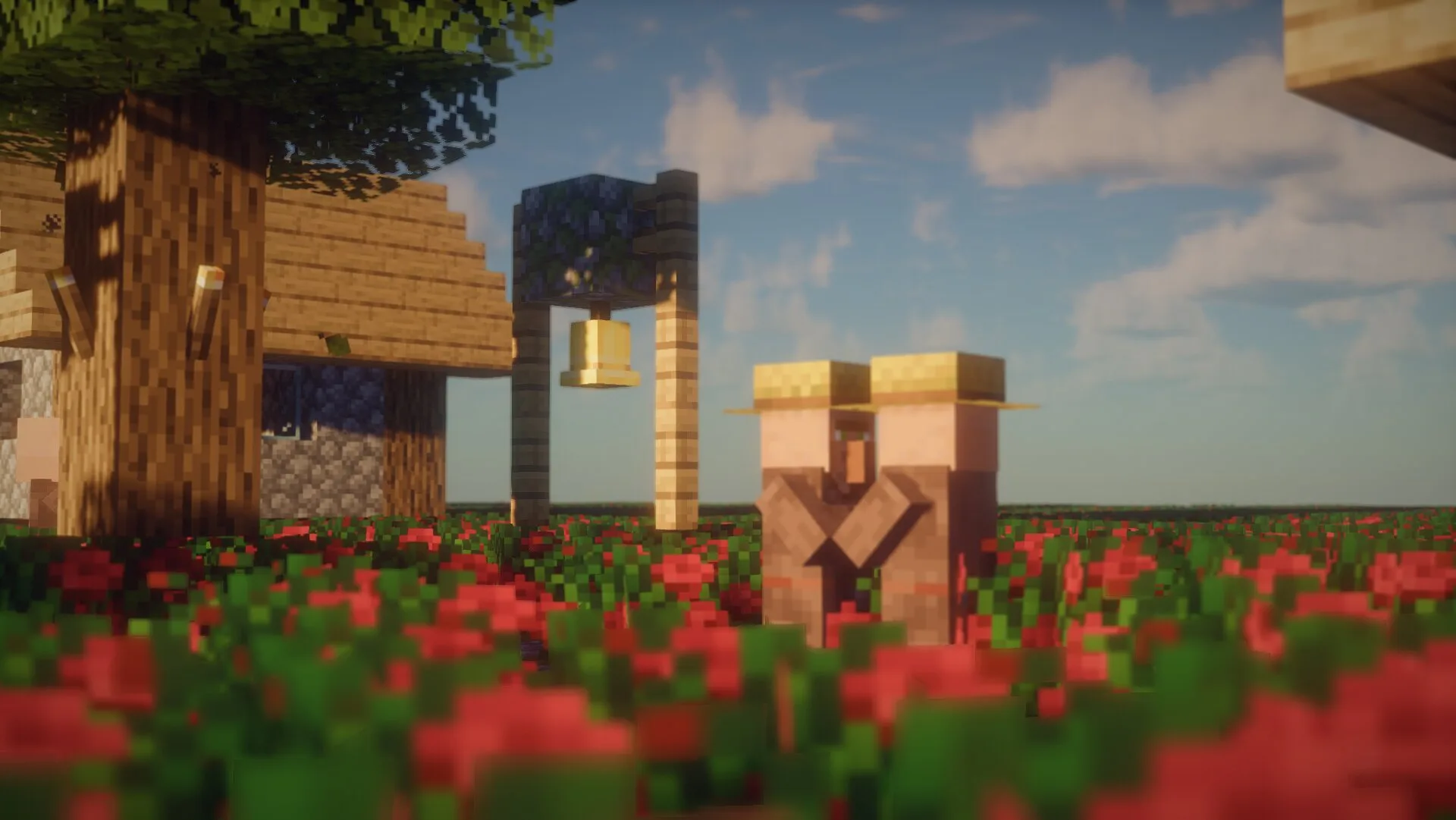 Turtle Shaders