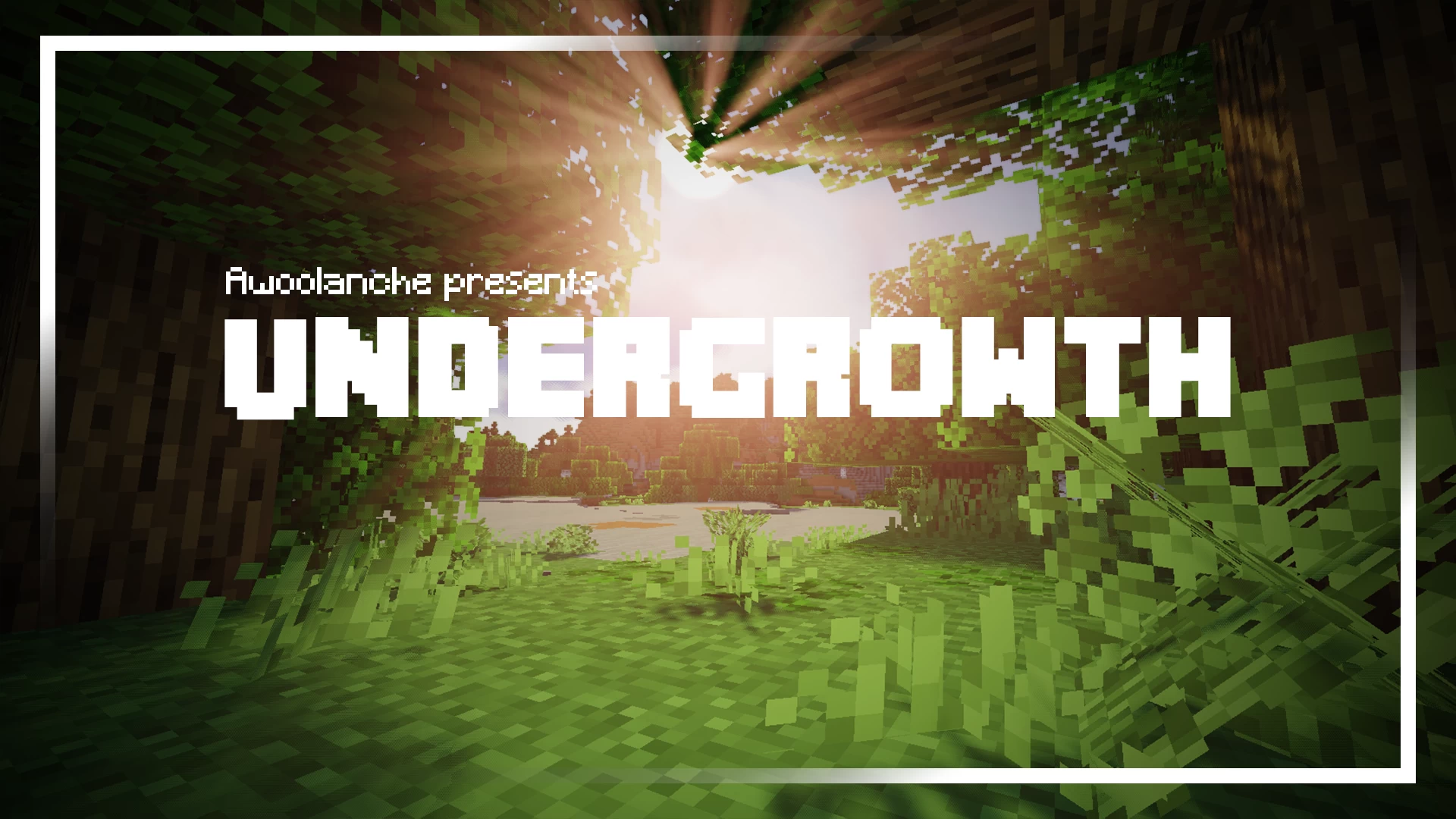 Undergrowth