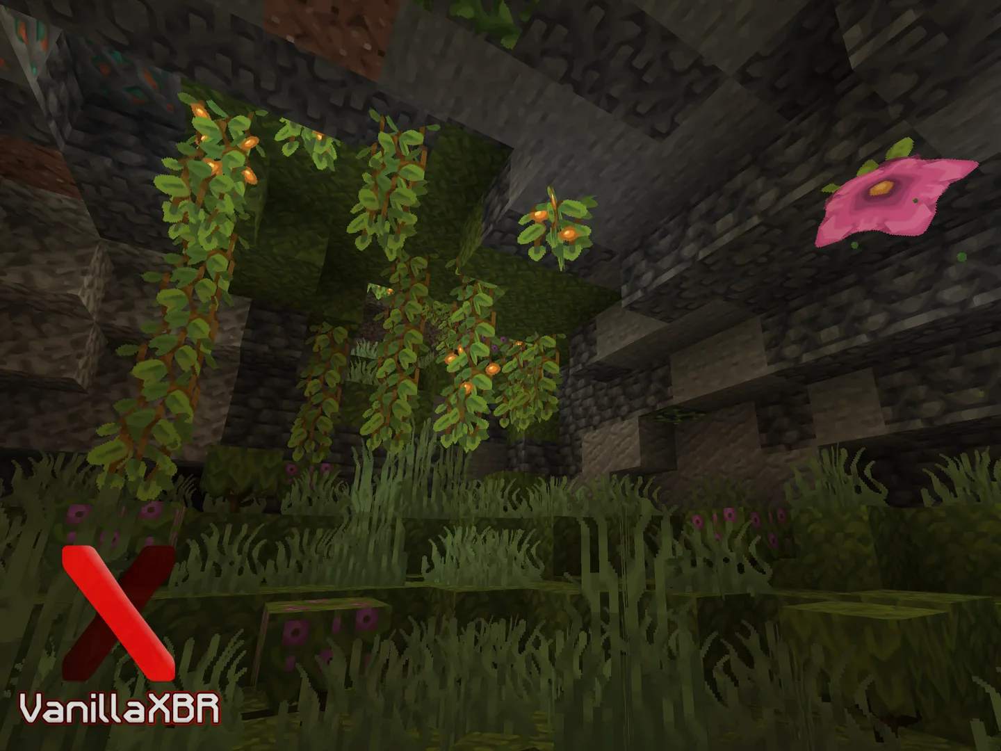 Изображение 3 ресурспака VanillaXBR