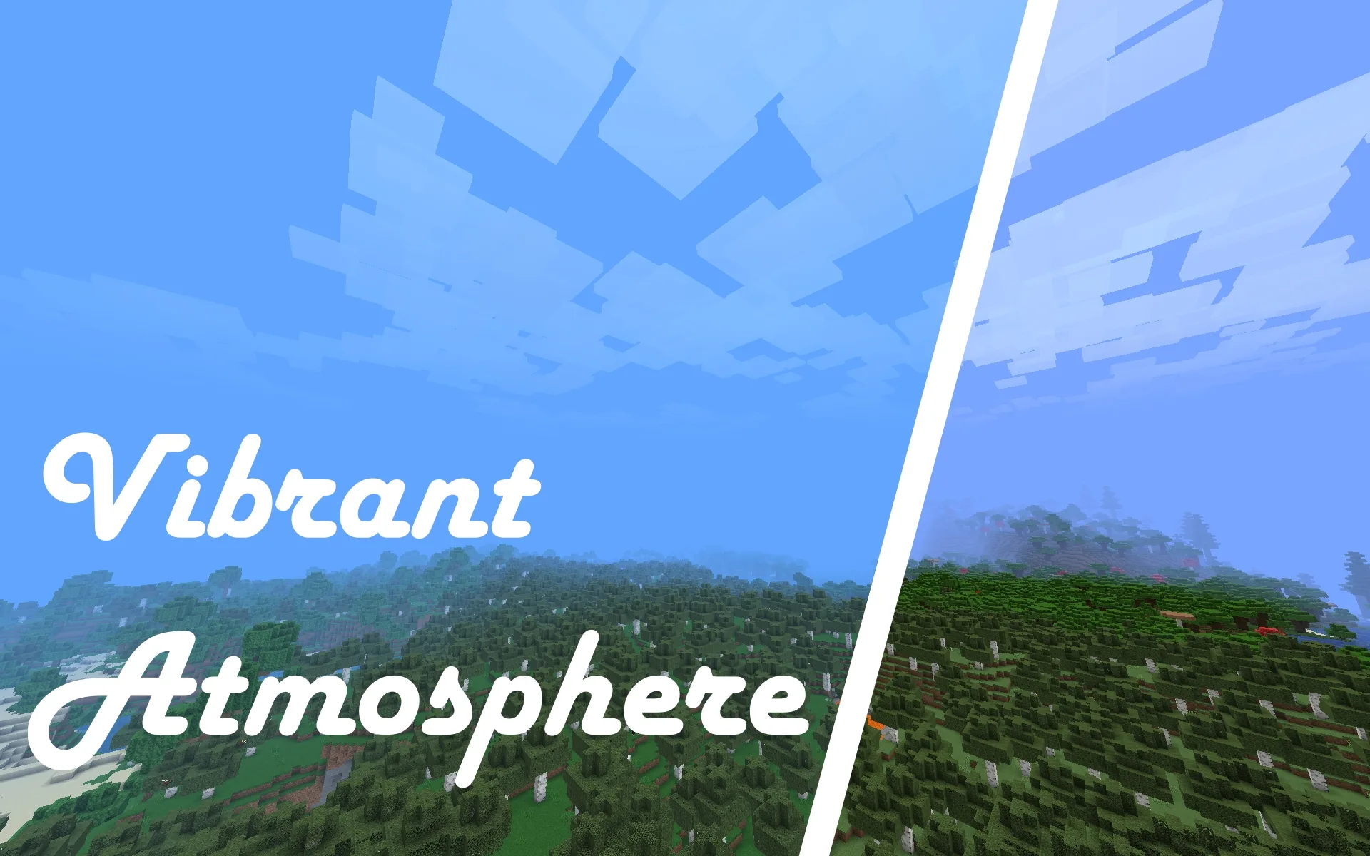 Vibrant Atmosphere