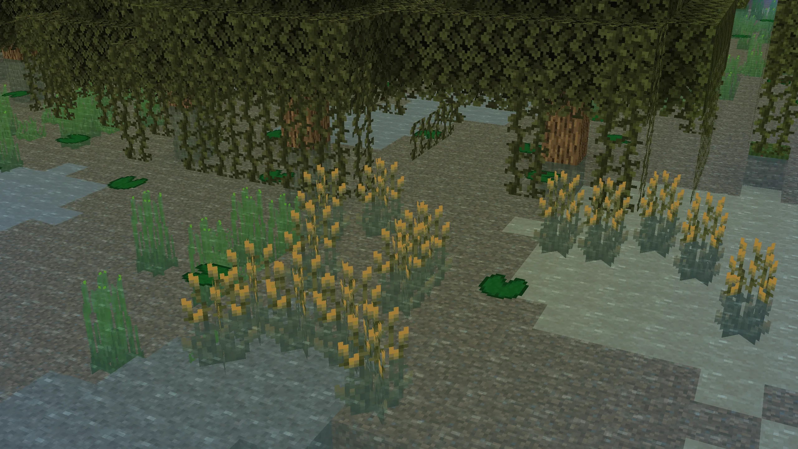 Water Firefly Bush