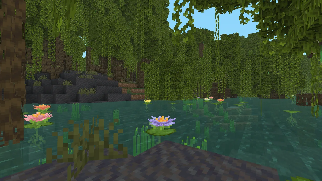 Water Lilies!