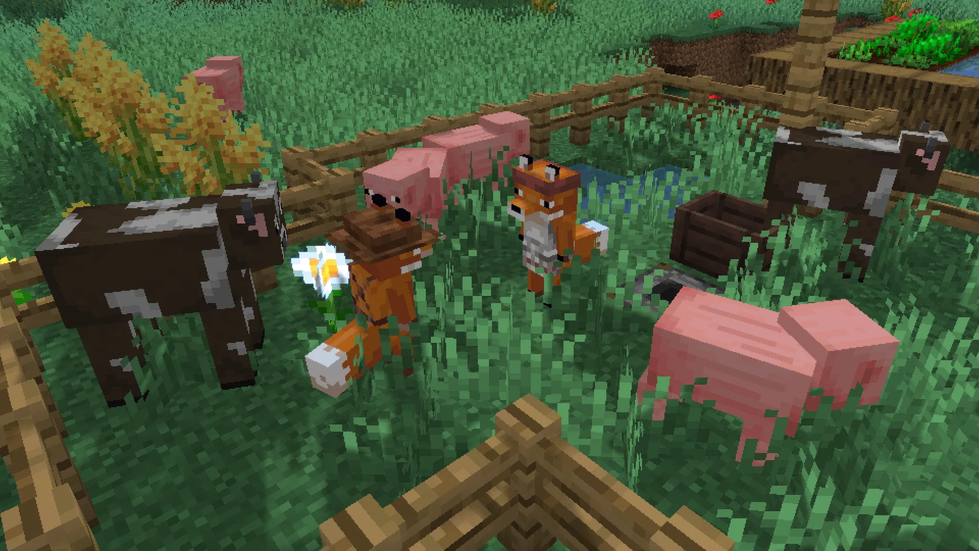 Изображение 1 ресурспака We Don't Bite