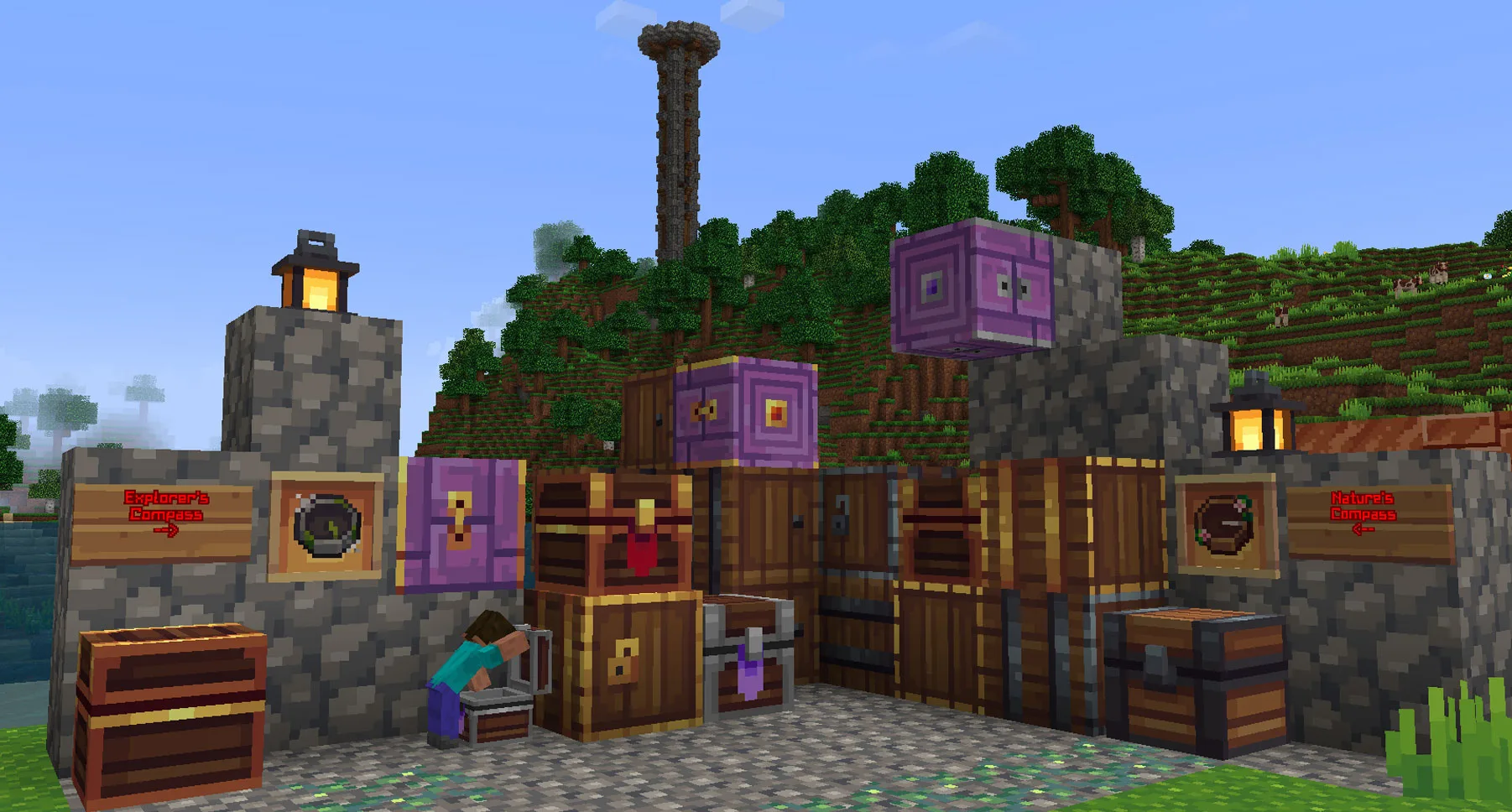 Whimscape + Exploration