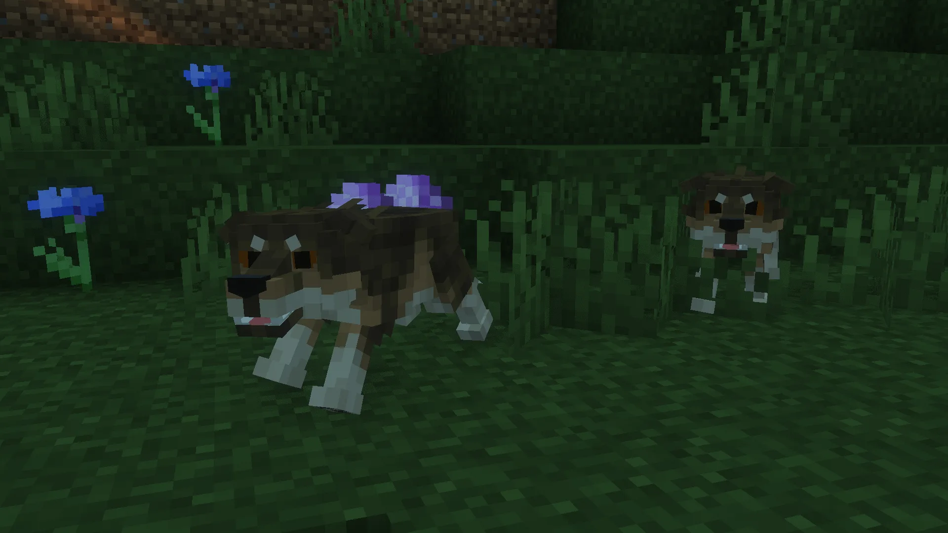 Изображение 3 ресурспака Wild Wolves x Fresh Animations