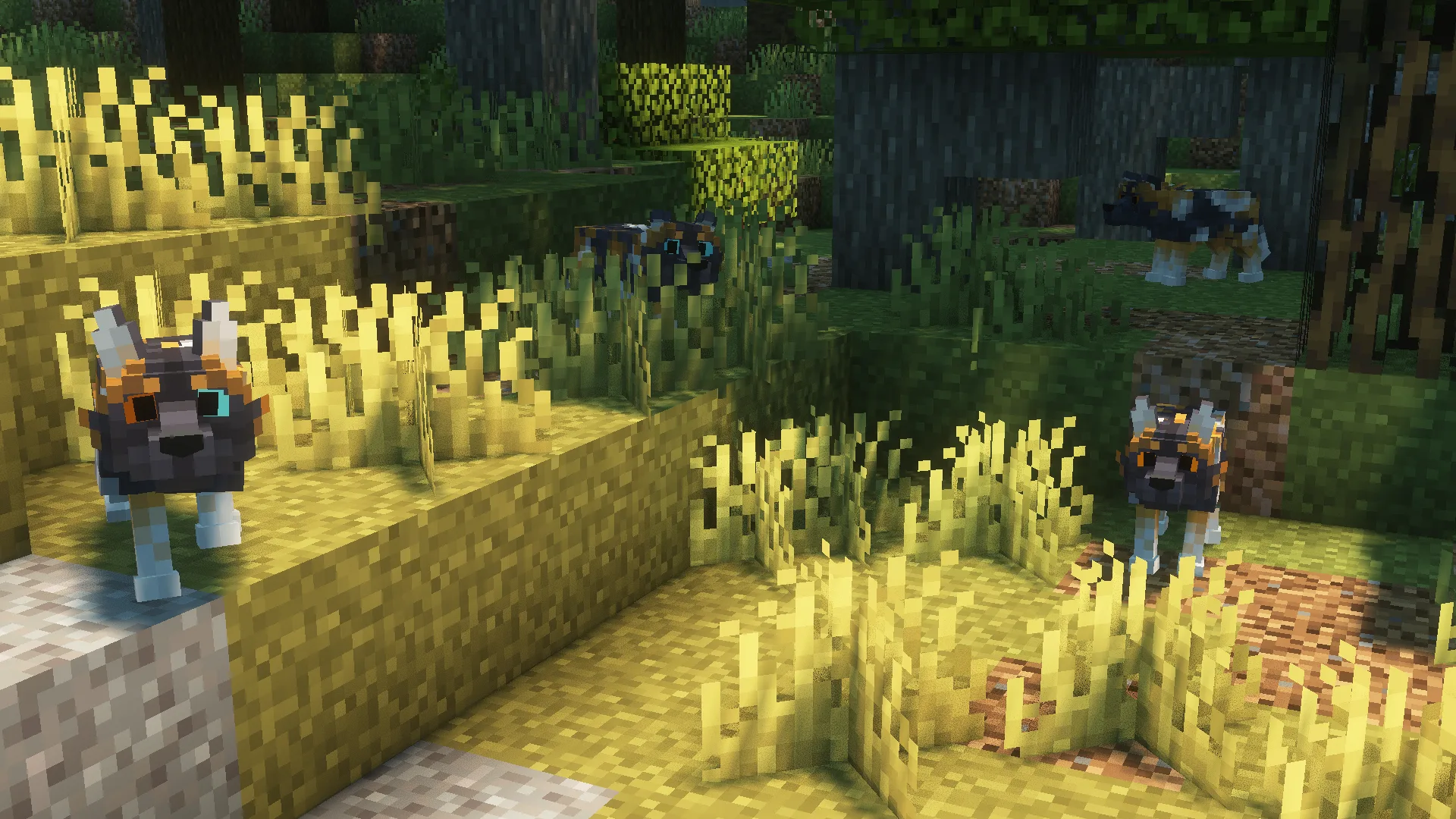 Изображение 4 ресурспака Wild Wolves x Fresh Animations