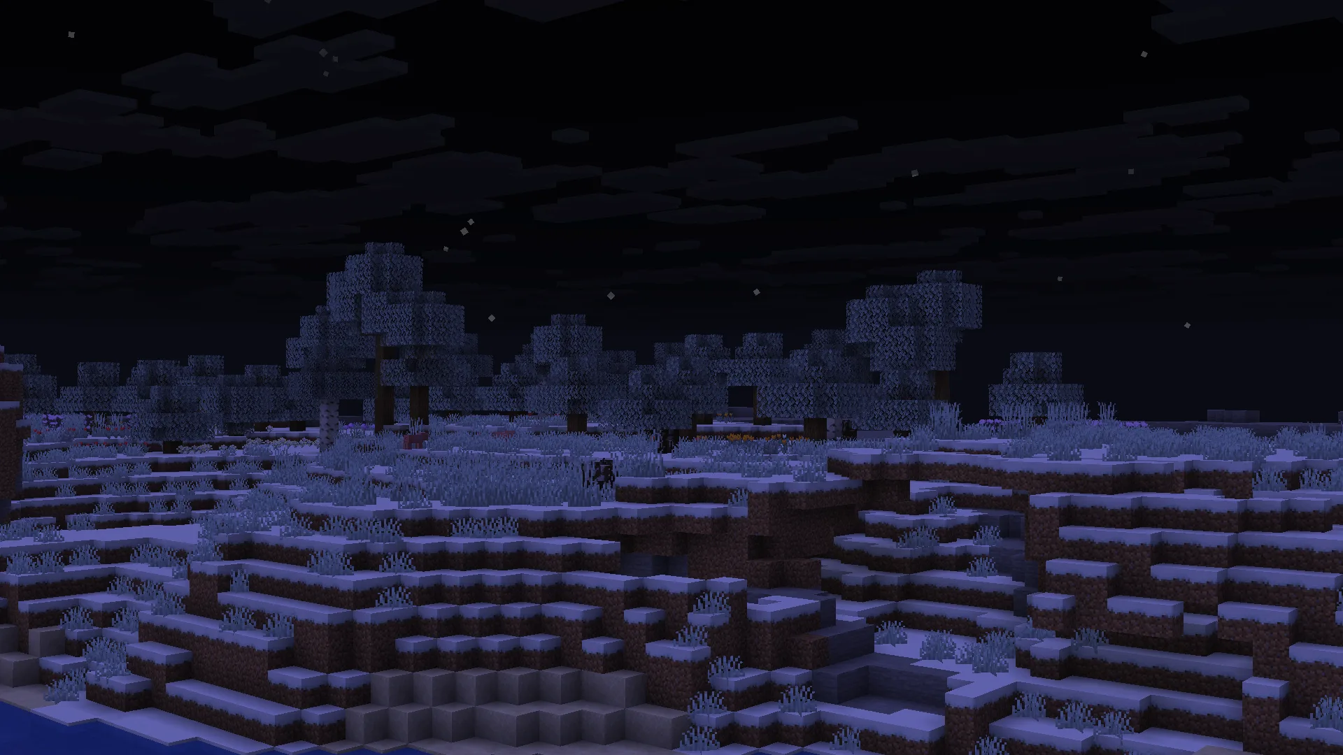 Winter Time