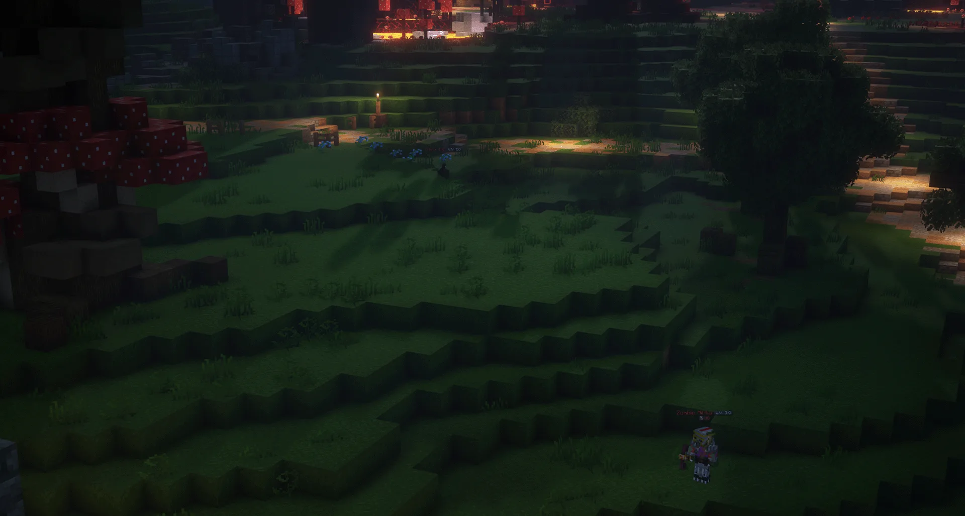 Изображение 3 ресурспака wynncraft better grass