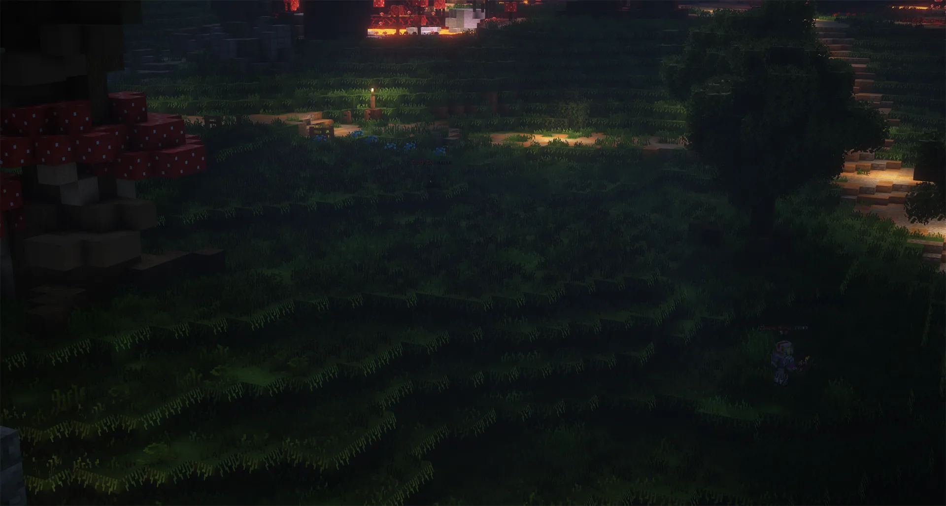 Изображение 4 ресурспака wynncraft better grass