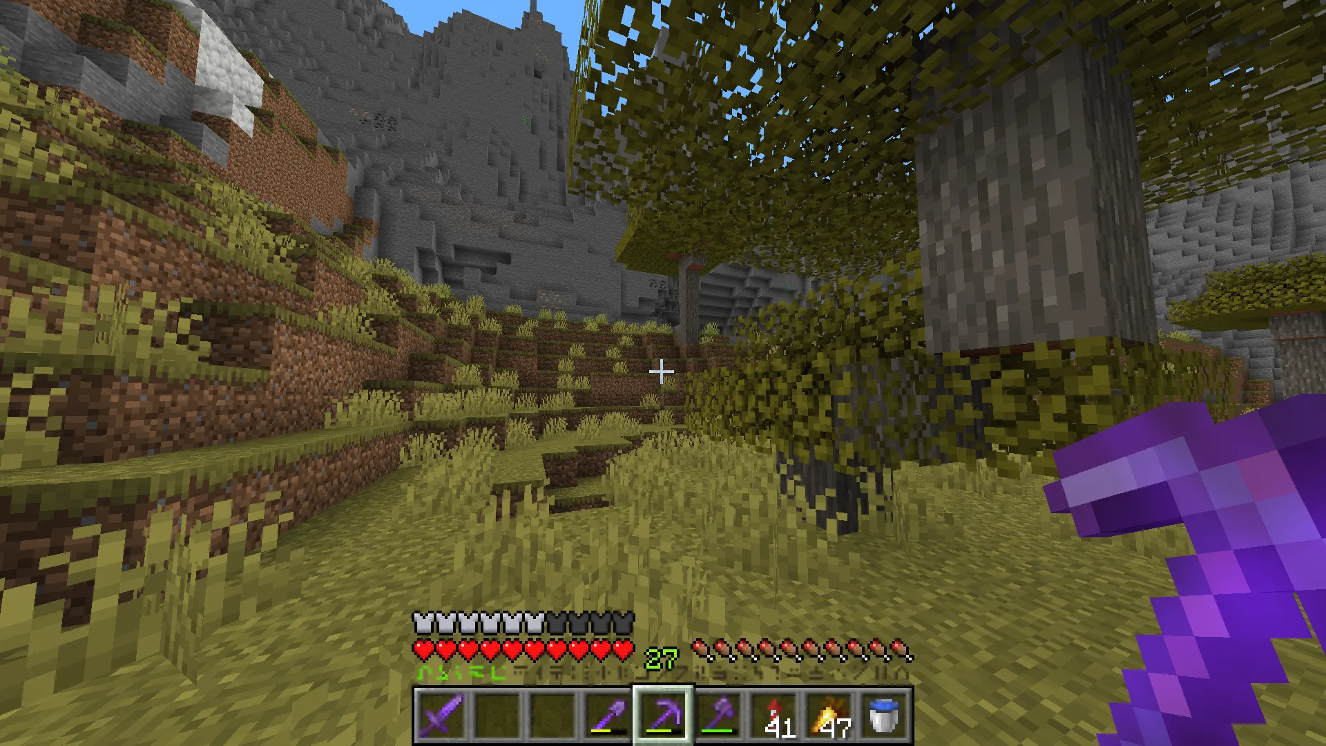 Изображение 2 ресурспака Enchanted