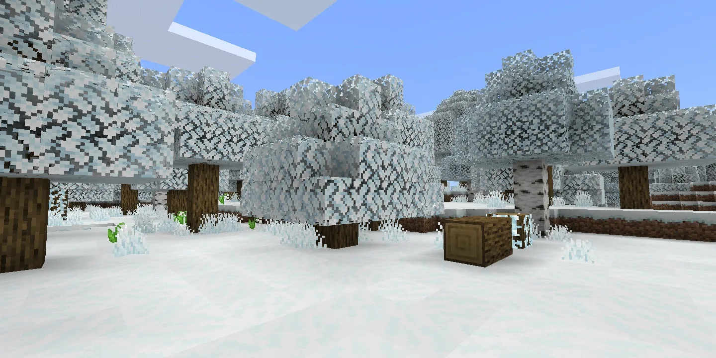 Y'all It's Winter!