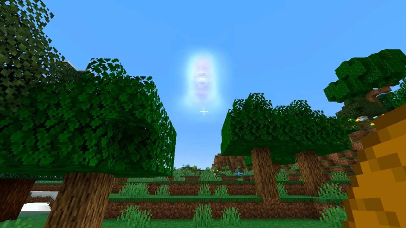 you are my sunshine SUN